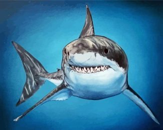 Aesthetic Great White Shark Diamond Painting