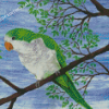 Aesthetic Quaker Parrot Diamond Painting