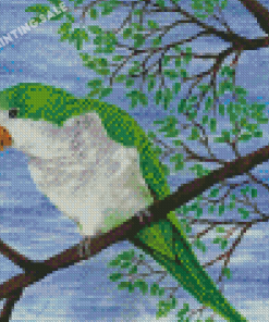 Aesthetic Quaker Parrot Diamond Painting