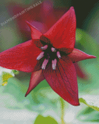 Aesthetic Trillium Flower Diamond Painting