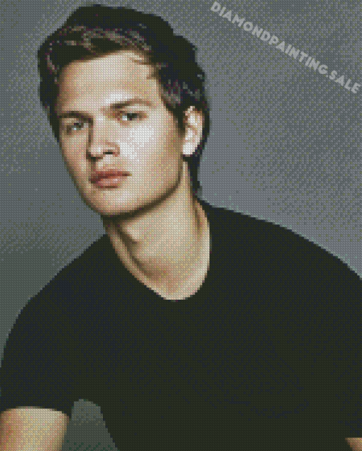 Handsome Ansel Elgort Diamond Painting