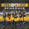 Pittsburgh Steelers Team Diamond Painting