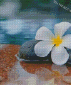 Plumeria Flower In Water Diamond Painting