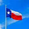 Texas Flag Diamond Painting