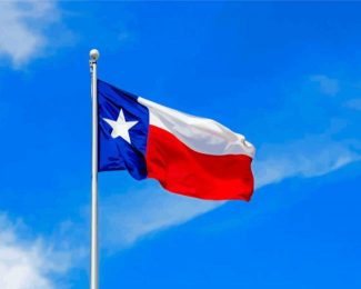 Texas Flag Diamond Painting