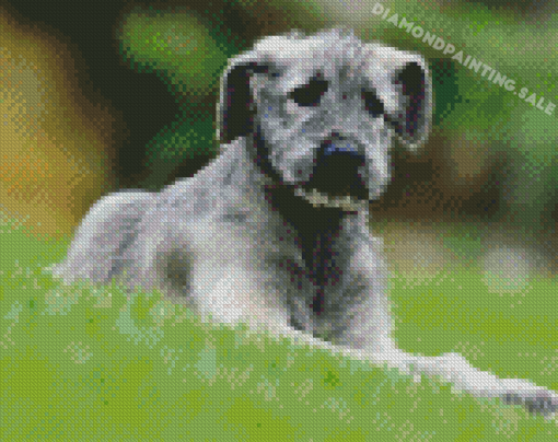 Aesthetic Irish Wolfhound Puppy Diamond Painting