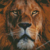 Aesthetic Lion Of Judah Diamond Painting