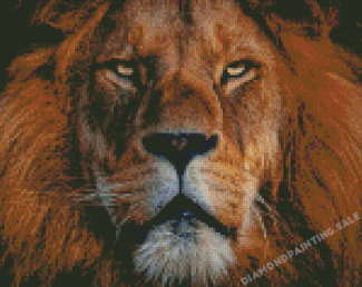 Aesthetic Lion Of Judah Diamond Painting