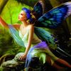 Angels Or Fairies Diamond Painting