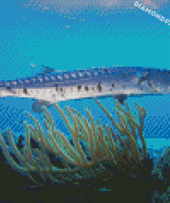 Barracuda Fish Diamond Painting