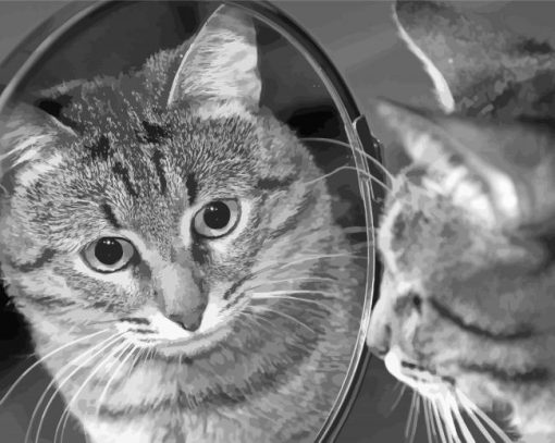 Black And White Mirror Cat Reflection Diamond Painting