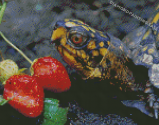 Box Turtle And Strawberry Diamond Painting