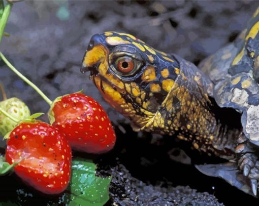 Box Turtle And Strawberry Diamond Painting