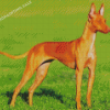 Brown Podenco Dog Diamond Painting