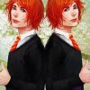 Fred And George Weasley Twins Characters Art Diamond Painting