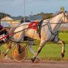 Harness Racing Diamond Painting