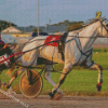 Harness Racing Diamond Painting