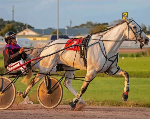 Harness Racing Diamond Painting