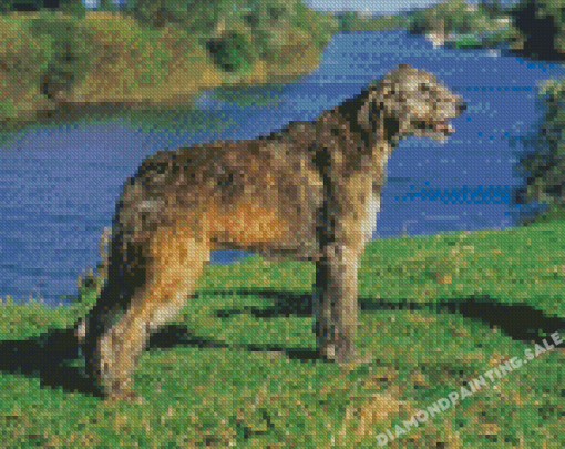 Irish Wolfhound Diamond Painting