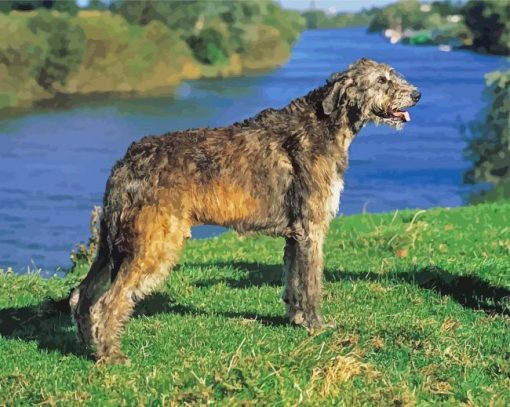 Irish Wolfhound Diamond Painting