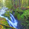 Olympic National Forest Waterfall Diamond Painting