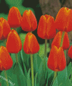 Orange Tulips Diamond Painting
