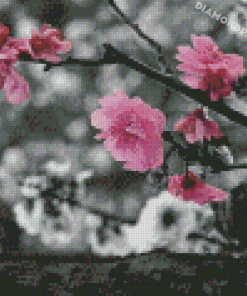 Pink Blossom In Black And White Diamond Painting