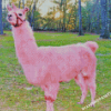 Pink Llama Diamond Painting