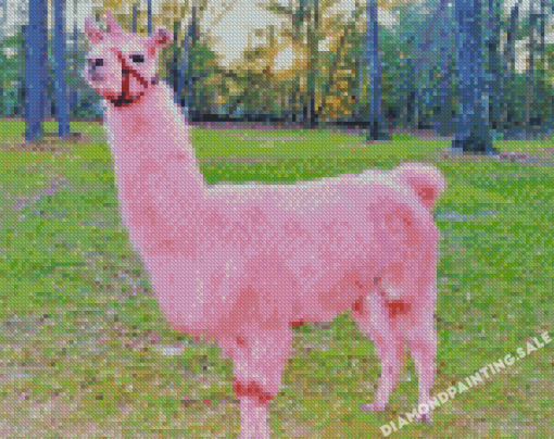Pink Llama Diamond Painting