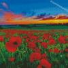 Poppies In A Sunset Diamond Painting