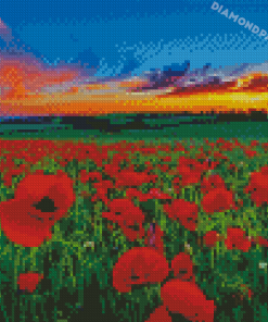 Poppies In A Sunset Diamond Painting