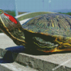 Red Eared Slider Diamond Painting