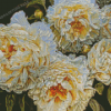 White Peonies Diamond Painting