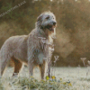 Wolfhound Dog Diamond Painting
