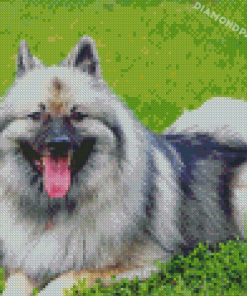 Adorable Keeshond Puppy Diamond Painting