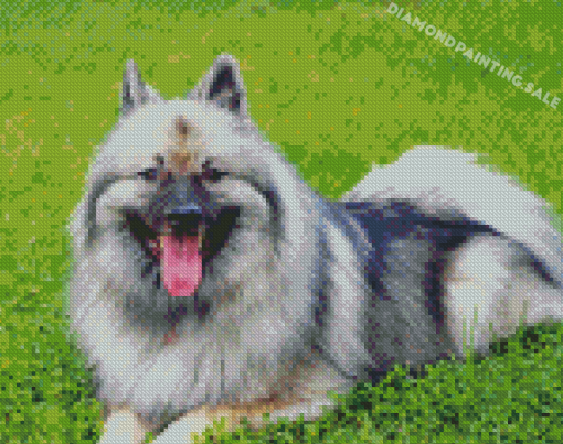 Adorable Keeshond Puppy Diamond Painting