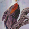 Aesthetic African Fish Eagle Art Diamond Painting