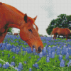 Aesthetic Bluebonnets And Horse Diamond Painting