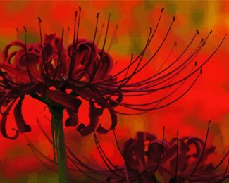 Aesthetic Spider Lilies Diamond Painting