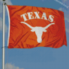 Aesthetic Texas Longhorn Flag Diamond Painting