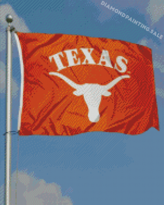 Aesthetic Texas Longhorn Flag Diamond Painting