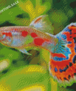 Aesthetic Guppy Fish Diamond Painting