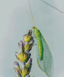 Aesthetic Lacewing Insect Art Diamond Painting