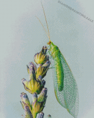Aesthetic Lacewing Insect Art Diamond Painting
