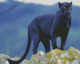 Black Jaguar Animal Diamond Painting