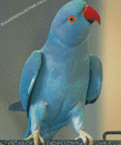 Blue Rose Ringed Parakeet Diamond Painting