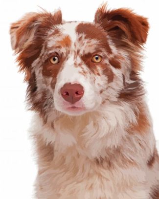 Brown Border Collie Dog Diamond Painting