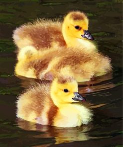 Canada Geese Goslings In Water Diamond Painting