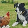 Dog With Chickens Diamond Painting