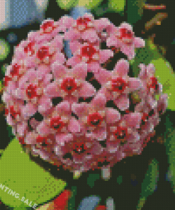 Pink Wax Plant Diamond Painting